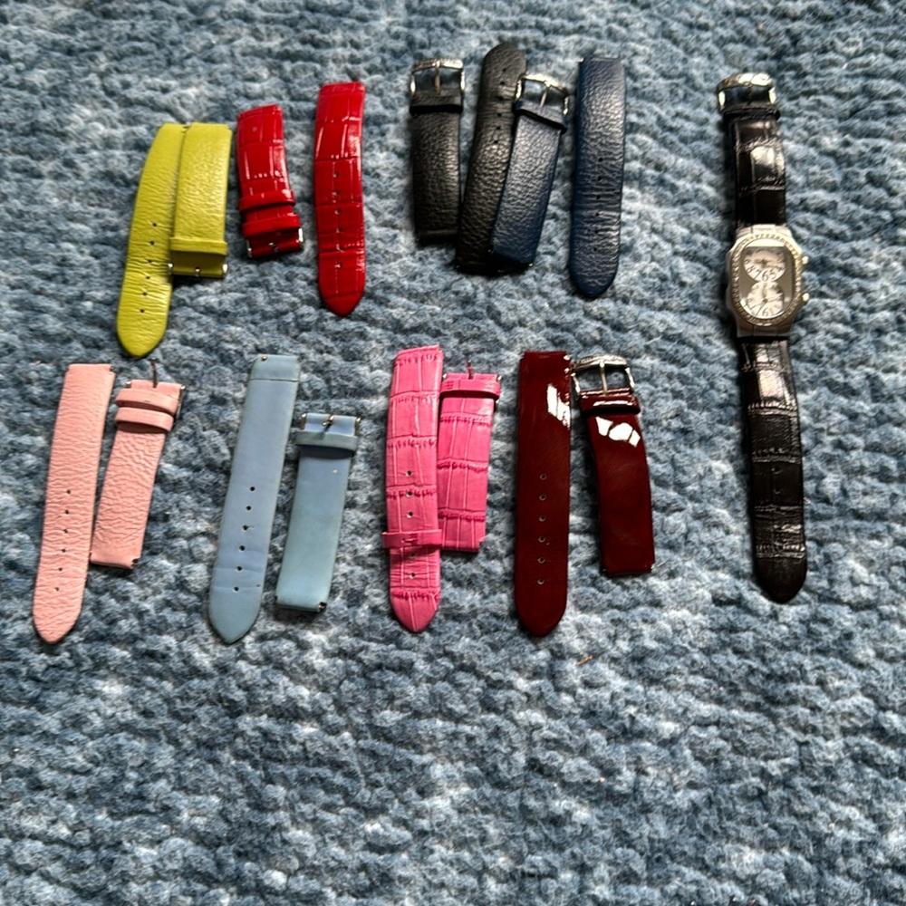 Philip Stein Teslar Women’s Watch